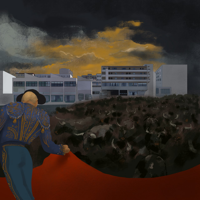 Matador cover
